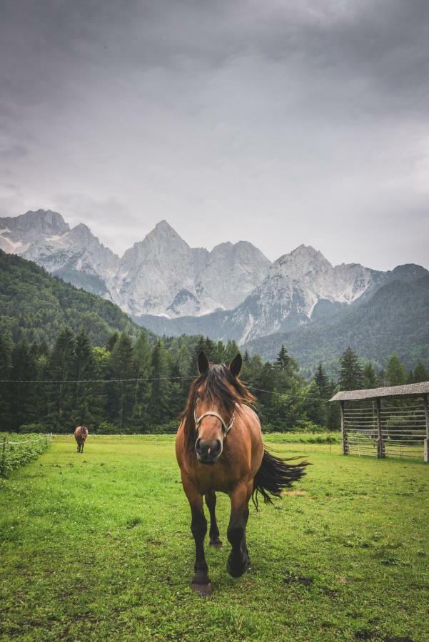 Klass 210 Kranjska Gora Εξωτερικό φωτογραφία