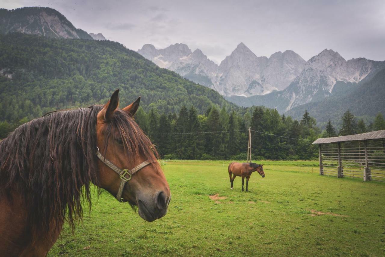 Klass 210 Kranjska Gora Εξωτερικό φωτογραφία